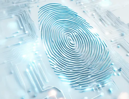 Fast, Reliable Criminal Record Checks – Verified in 24 Hours